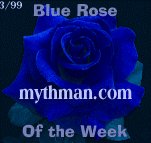Blue Rose